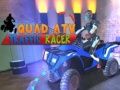 게임 쿼드 ATV 교통 레이서 온라인