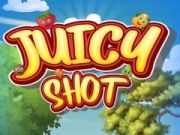 게임 Juicy Shot 온라인