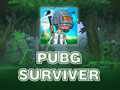 게임 PUBG 생존자 온라인