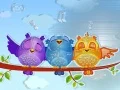 게임 화려한 새 퍼즐 온라인 게임 화려한 새 퍼즐 온라인