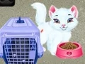 게임 아기 테일러 애완동물 돌보기 온라인