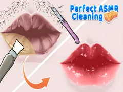 게임 완벽한 ASMR 청소 온라인