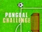 게임 PonGoal 챌린지 온라인