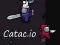 게임 Catac.io 온라인