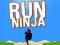 게임 달려라 닌자 온라인