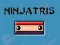 게임 닌자트리스 온라인