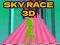 게임 하늘 경주 3D 온라인