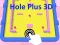 게임 홀 플러스 3D 온라인