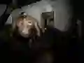 게임 조용한 요양소 온라인 게임 조용한 요양소 온라인