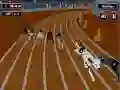 게임 미친 개 경주 열기 온라인 게임 미친 개 경주 열기 온라인