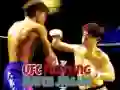 게임 UFC 격투 매치 직소 퍼즐 온라인