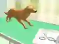 게임 발 관리 온라인