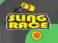 게임 슬링 레이스 온라인