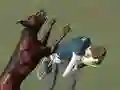게임 다각형 로열 슈터 온라인 게임 다각형 로열 슈터 온라인
