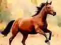 게임 말 미끄럼틀 온라인 게임 말 미끄럼틀 온라인