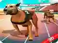 게임 미친 개 경주 온라인 게임 미친 개 경주 온라인