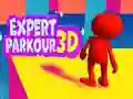 게임 전문가 파쿠르 3D 온라인 게임 전문가 파쿠르 3D 온라인