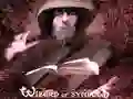 게임 심볼의 마법사 온라인 게임 심볼의 마법사 온라인