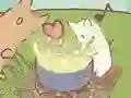 게임 귀여운 고양이 마을 온라인