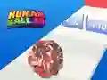 게임 인간 공 3D 온라인