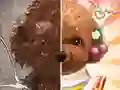 게임 애완동물 메이크업 마스터 온라인