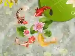 게임 코이 물고기 연못 온라인
