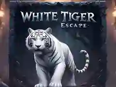 게임 백호 탈출 온라인