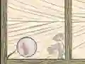 게임 버블 Quod 온라인