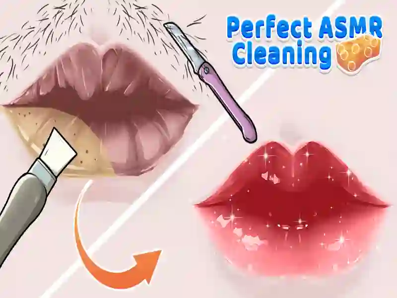 게임 완벽한 ASMR 청소 온라인