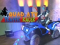 게임 쿼드 ATV 교통 레이서 온라인